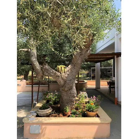 A&b Homes Leuca Countryside Holiday home